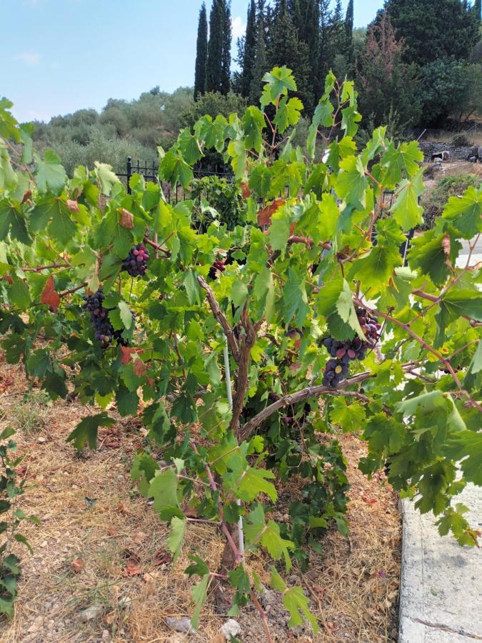 Οίνου Γη Ιθάκη - Winelandithaca Villa Perachori Exterior foto