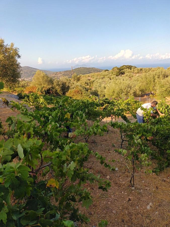 Οίνου Γη Ιθάκη - Winelandithaca Villa Perachori Exterior foto